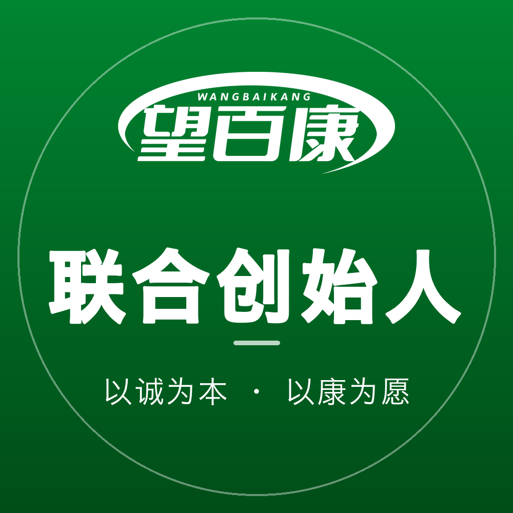 方案二 · 品牌绿底