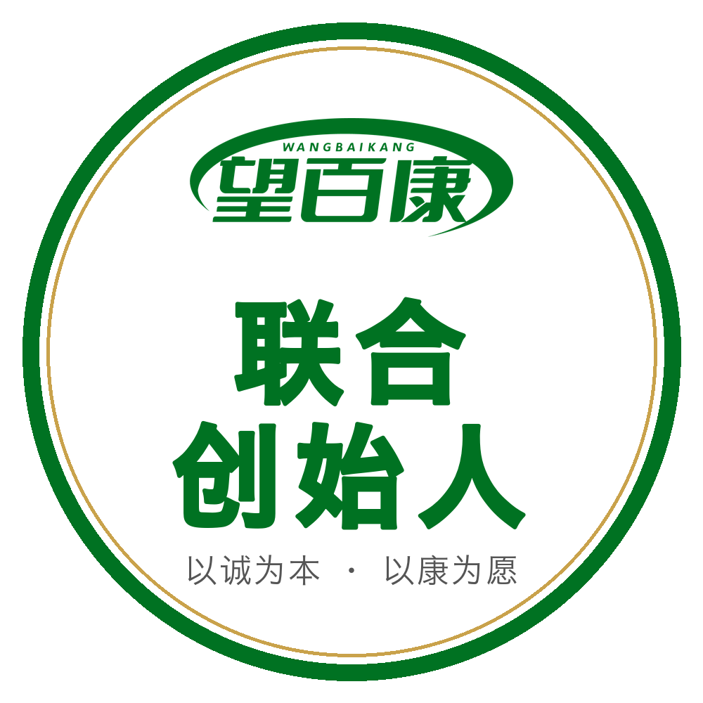 方案三 · 圆形徽章